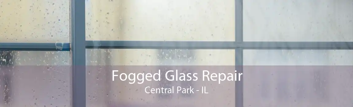 Fogged Glass Repair Central Park - IL