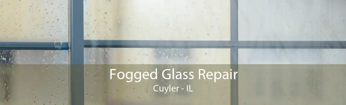 Fogged Glass Repair Cuyler - IL