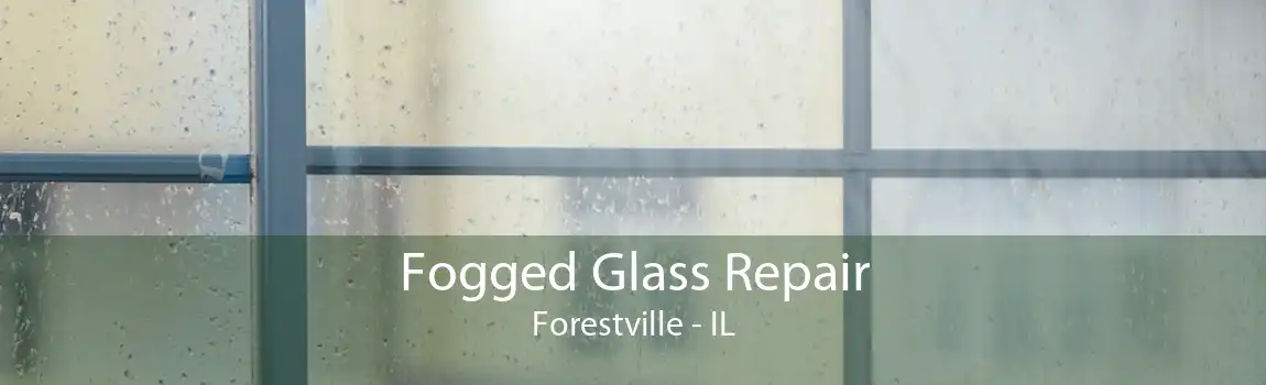 Fogged Glass Repair Forestville - IL