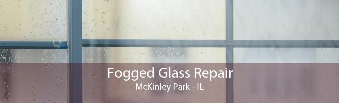 Fogged Glass Repair McKinley Park - IL