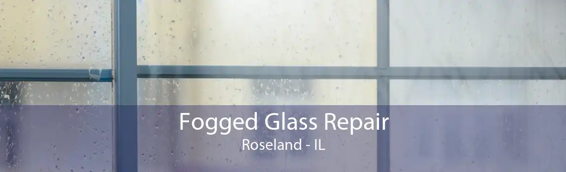 Fogged Glass Repair Roseland - IL