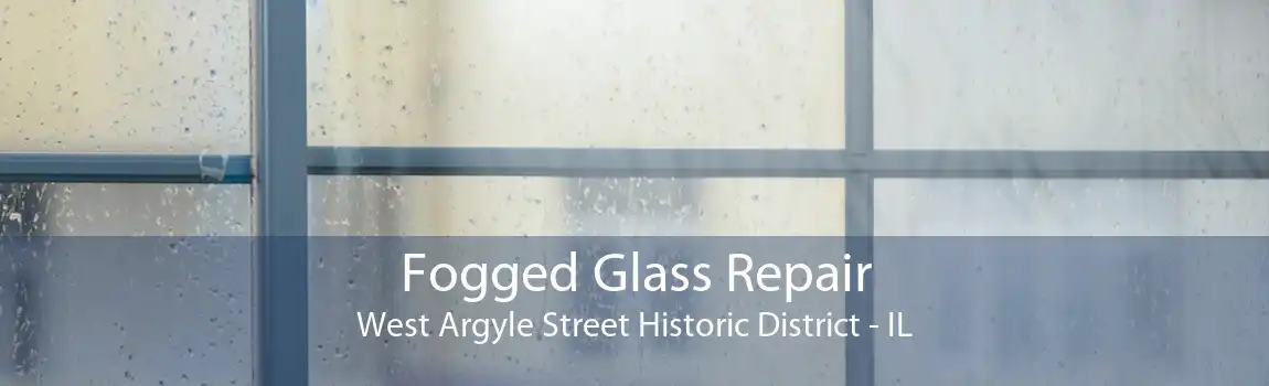 Fogged Glass Repair West Argyle Street Historic District - IL