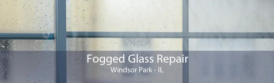 Fogged Glass Repair Windsor Park - IL