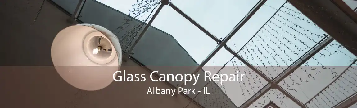 Glass Canopy Repair Albany Park - IL