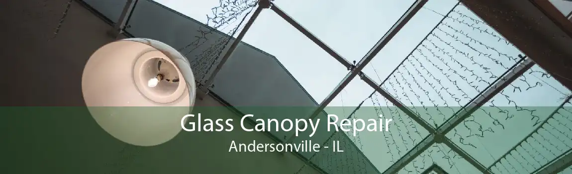 Glass Canopy Repair Andersonville - IL