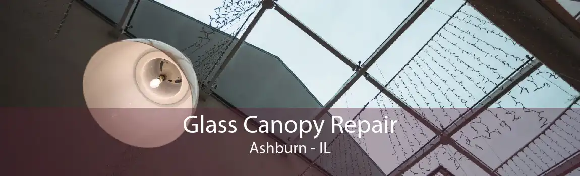 Glass Canopy Repair Ashburn - IL