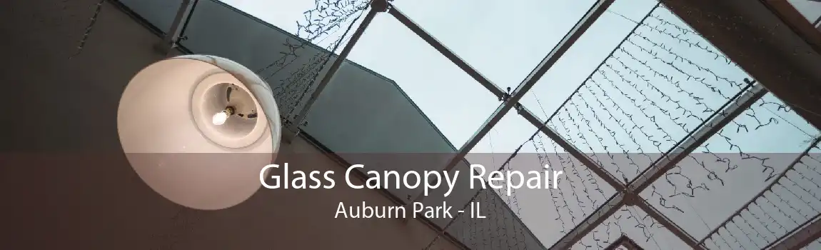 Glass Canopy Repair Auburn Park - IL