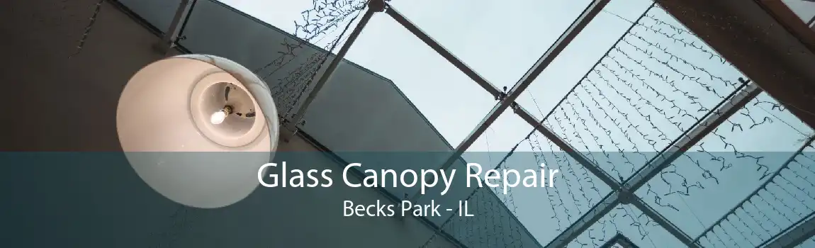 Glass Canopy Repair Becks Park - IL