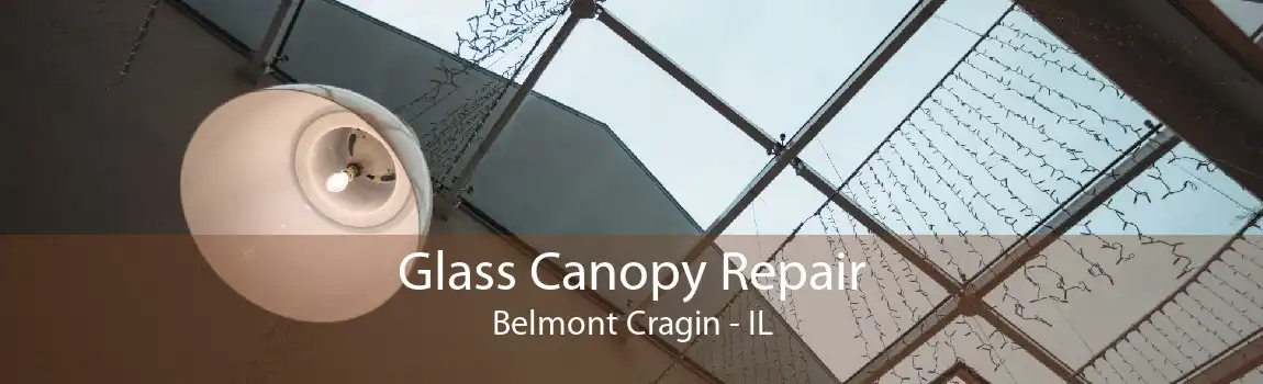 Glass Canopy Repair Belmont Cragin - IL