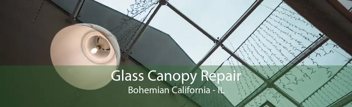 Glass Canopy Repair Bohemian California - IL