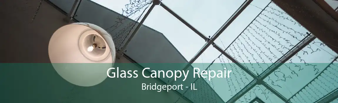 Glass Canopy Repair Bridgeport - IL