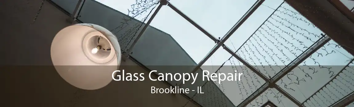 Glass Canopy Repair Brookline - IL