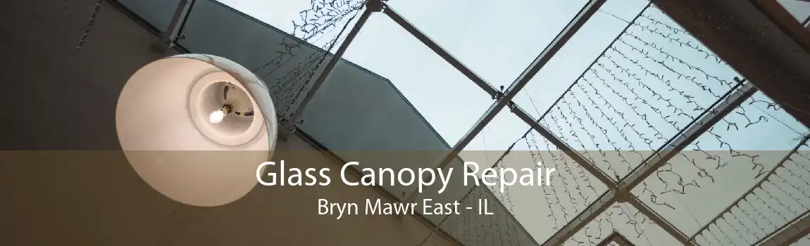 Glass Canopy Repair Bryn Mawr East - IL