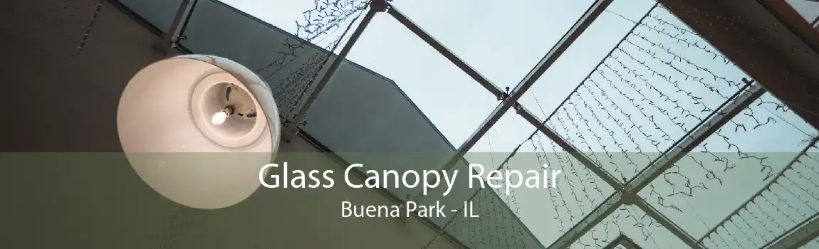 Glass Canopy Repair Buena Park - IL