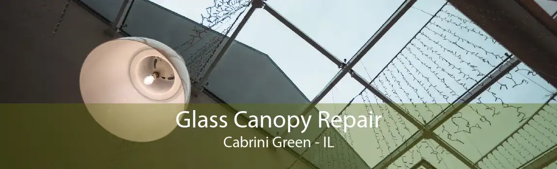 Glass Canopy Repair Cabrini Green - IL