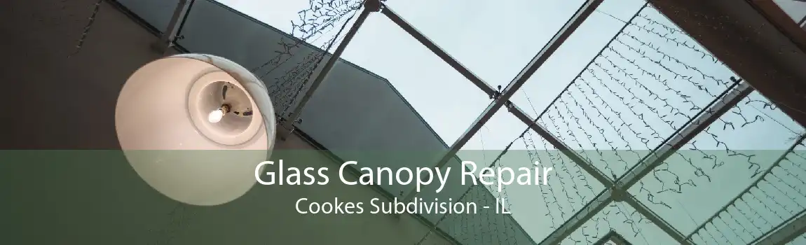 Glass Canopy Repair Cookes Subdivision - IL