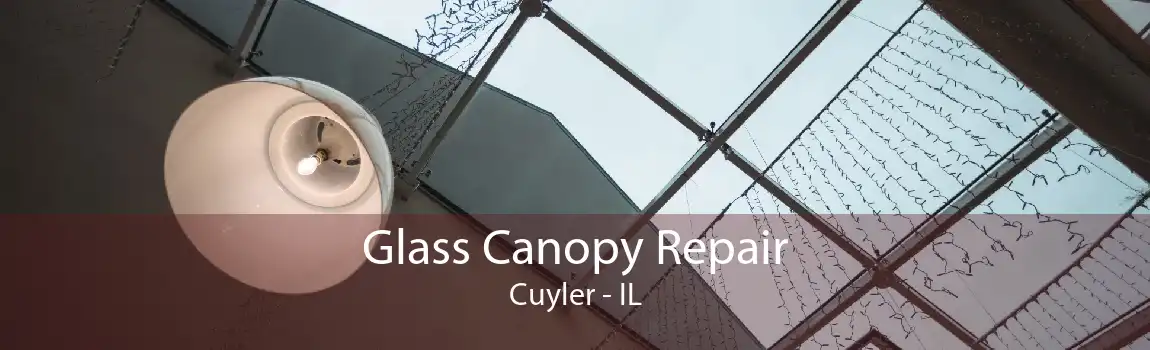 Glass Canopy Repair Cuyler - IL