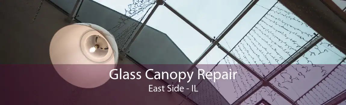 Glass Canopy Repair East Side - IL