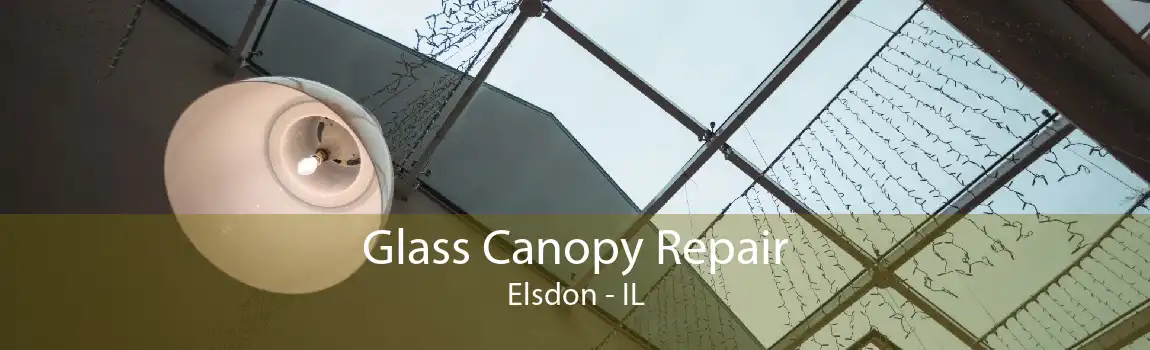 Glass Canopy Repair Elsdon - IL