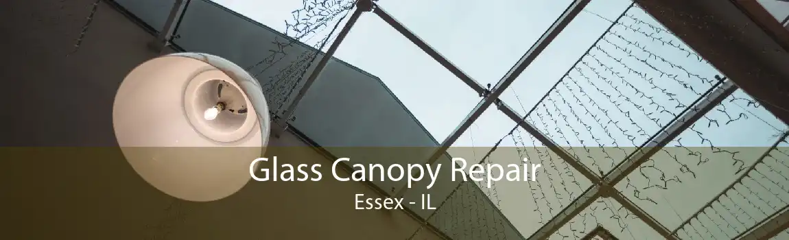 Glass Canopy Repair Essex - IL