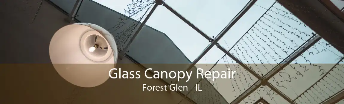 Glass Canopy Repair Forest Glen - IL