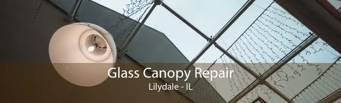 Glass Canopy Repair Lilydale - IL