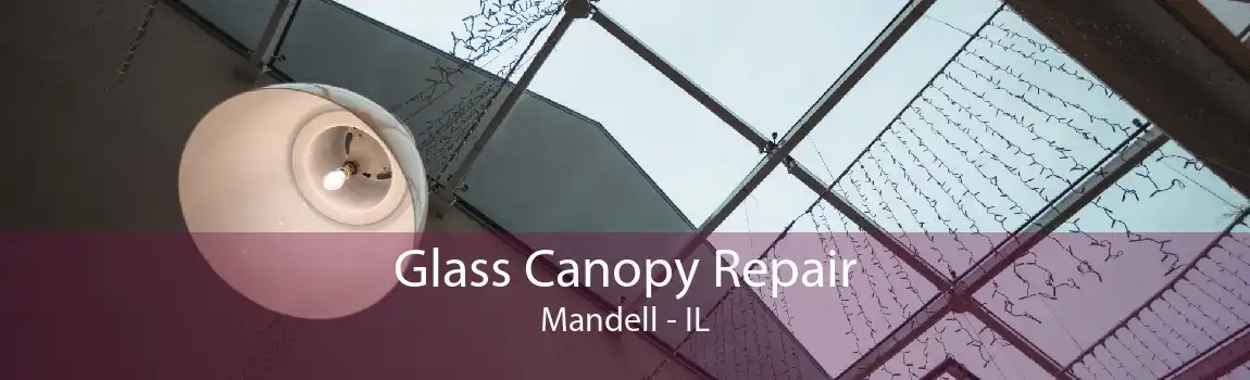 Glass Canopy Repair Mandell - IL