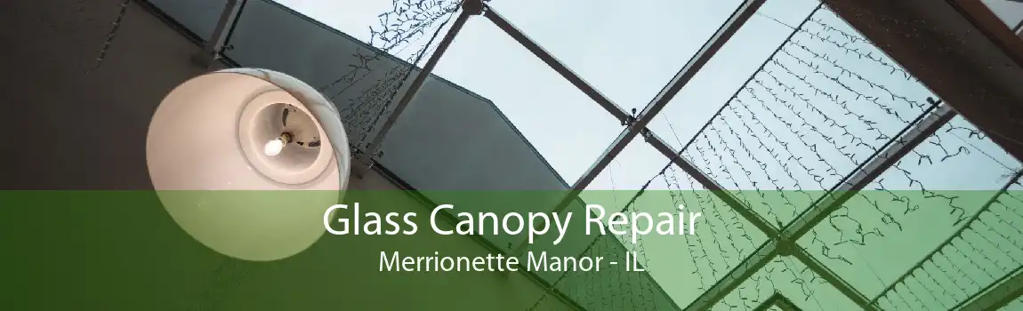 Glass Canopy Repair Merrionette Manor - IL