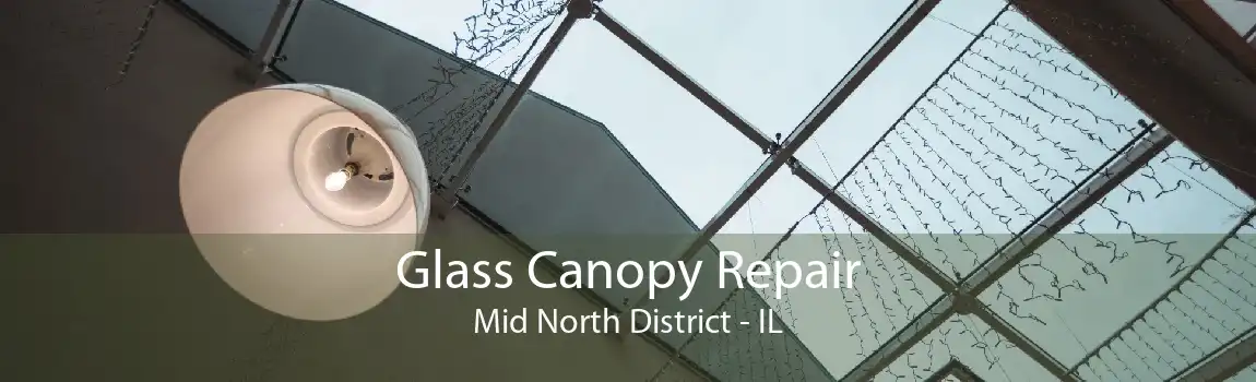 Glass Canopy Repair Mid North District - IL