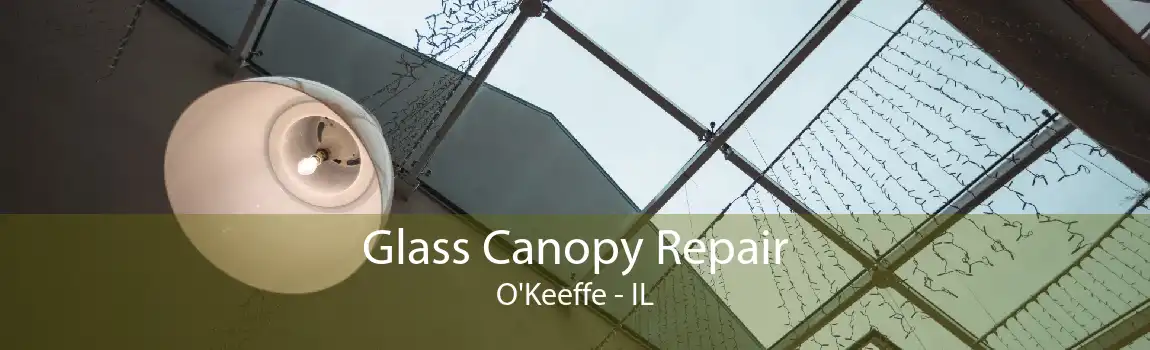 Glass Canopy Repair O'Keeffe - IL