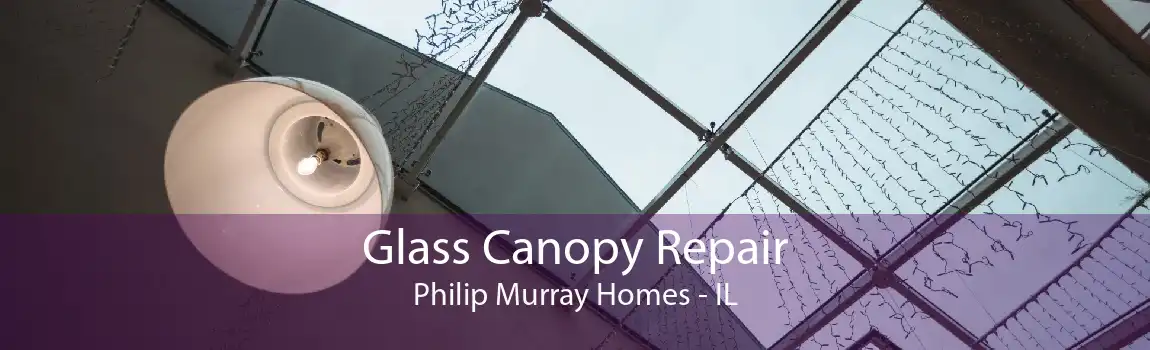 Glass Canopy Repair Philip Murray Homes - IL