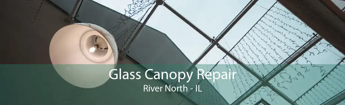 Glass Canopy Repair River North - IL