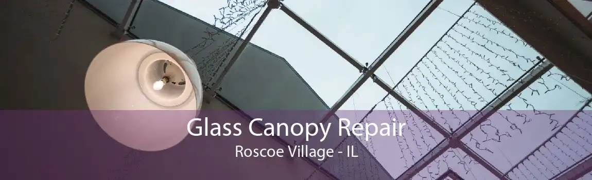 Glass Canopy Repair Roscoe Village - IL