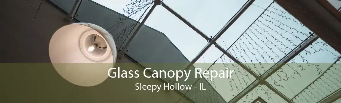 Glass Canopy Repair Sleepy Hollow - IL