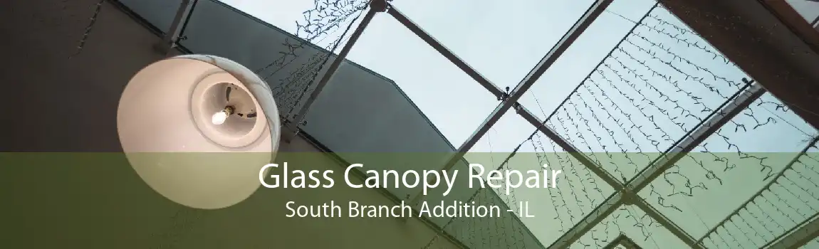 Glass Canopy Repair South Branch Addition - IL