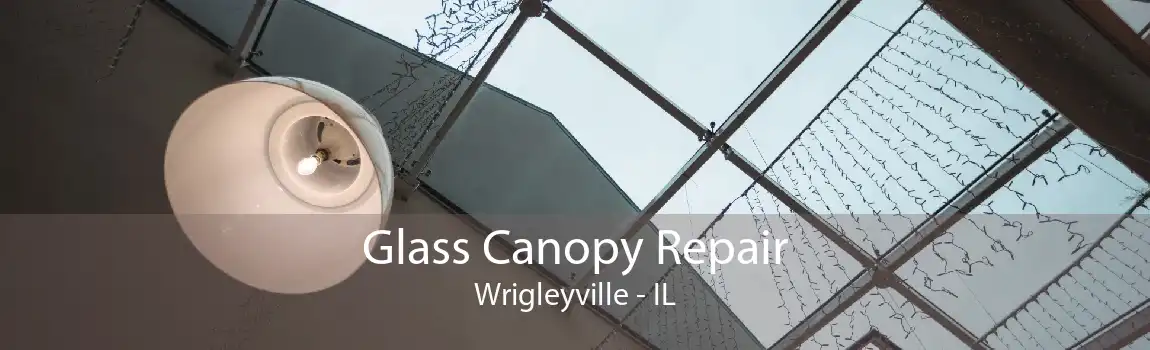 Glass Canopy Repair Wrigleyville - IL