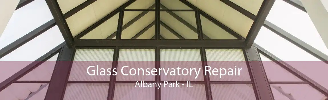 Glass Conservatory Repair Albany Park - IL