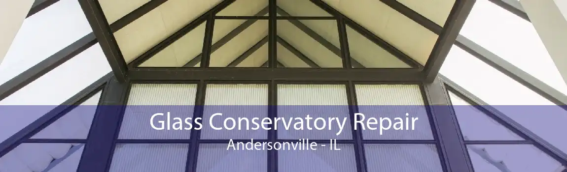 Glass Conservatory Repair Andersonville - IL