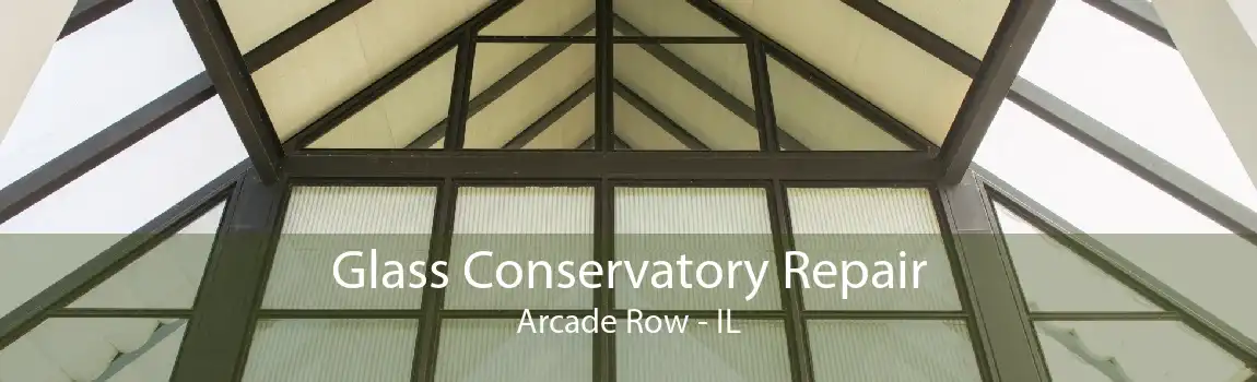 Glass Conservatory Repair Arcade Row - IL