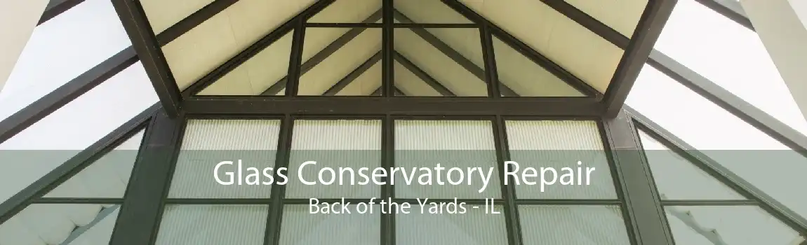 Glass Conservatory Repair Back of the Yards - IL