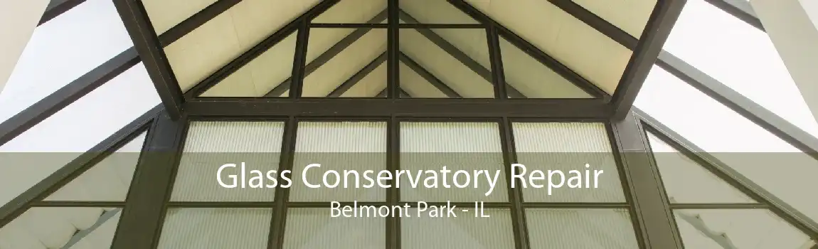 Glass Conservatory Repair Belmont Park - IL