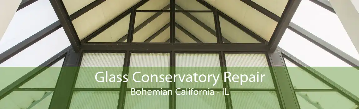 Glass Conservatory Repair Bohemian California - IL