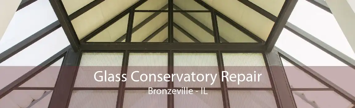 Glass Conservatory Repair Bronzeville - IL