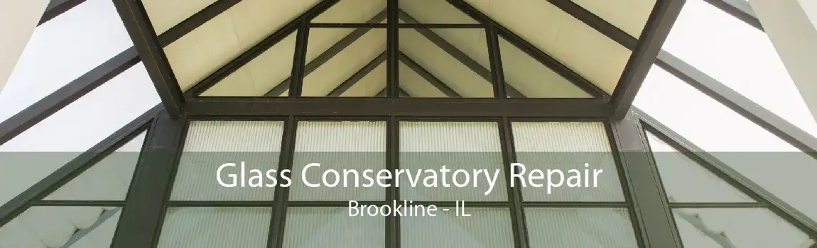 Glass Conservatory Repair Brookline - IL