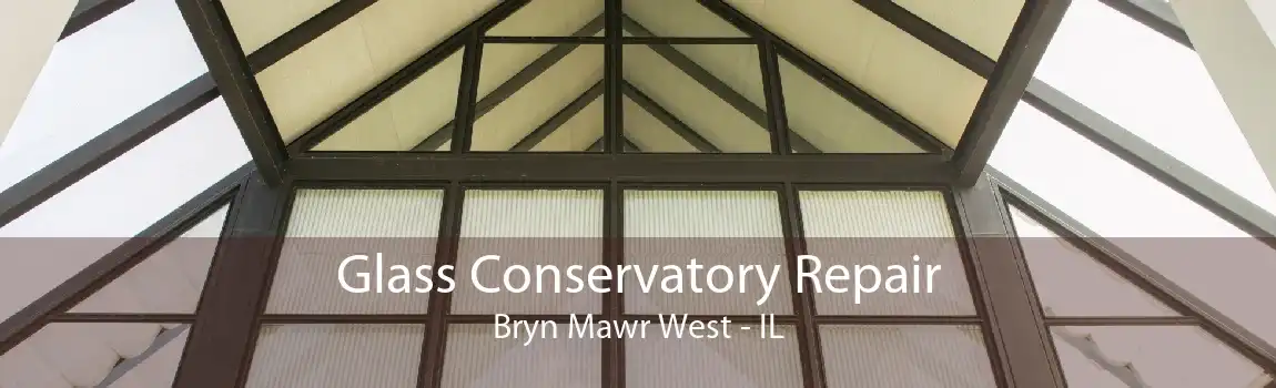 Glass Conservatory Repair Bryn Mawr West - IL