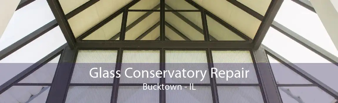 Glass Conservatory Repair Bucktown - IL