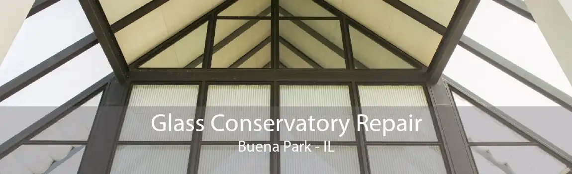 Glass Conservatory Repair Buena Park - IL