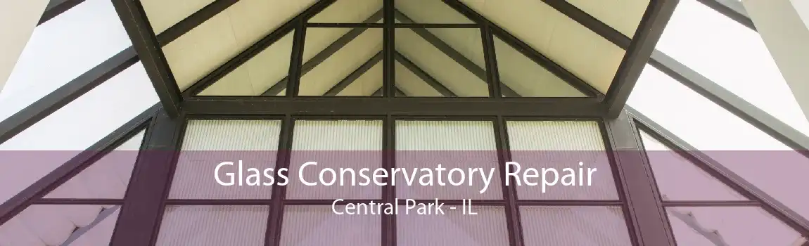 Glass Conservatory Repair Central Park - IL