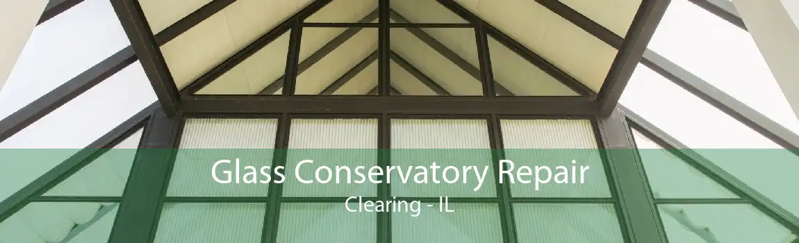 Glass Conservatory Repair Clearing - IL