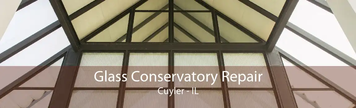 Glass Conservatory Repair Cuyler - IL